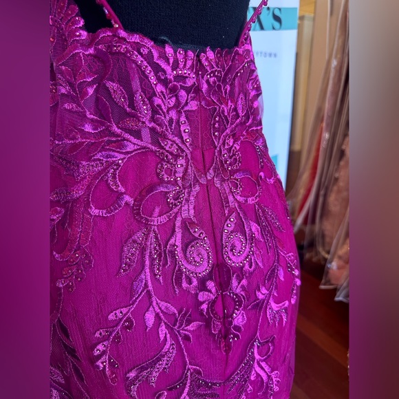 Fuchsia lace embroidered gown - Picture 5 of 6